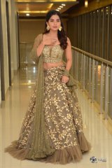 Kashmira at Nartanasala Pre Release Event